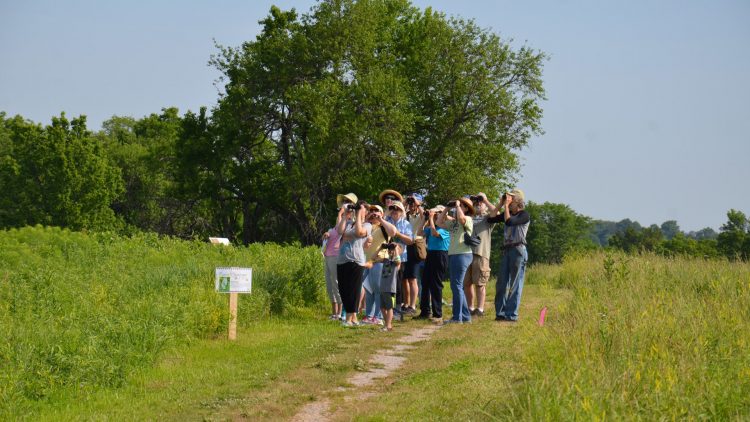 Jerry Smith Park Trail