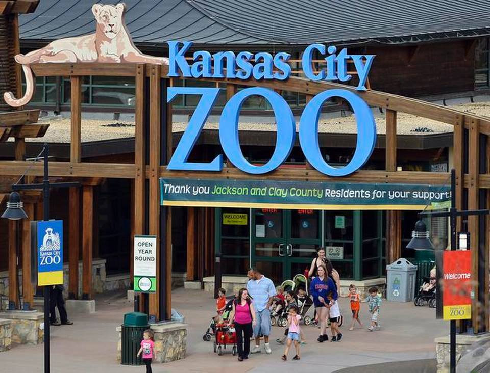 KCZoo Attendance Hits Record Numbers