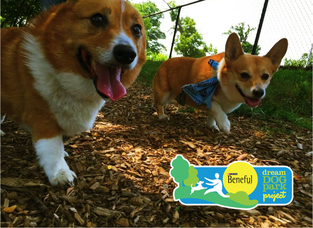 Vote for KCParks to Win a Dream Dog Park