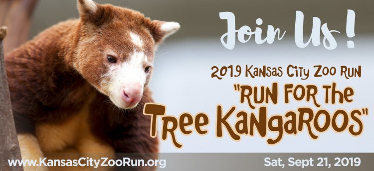2019 Kansas City Zoo Run
