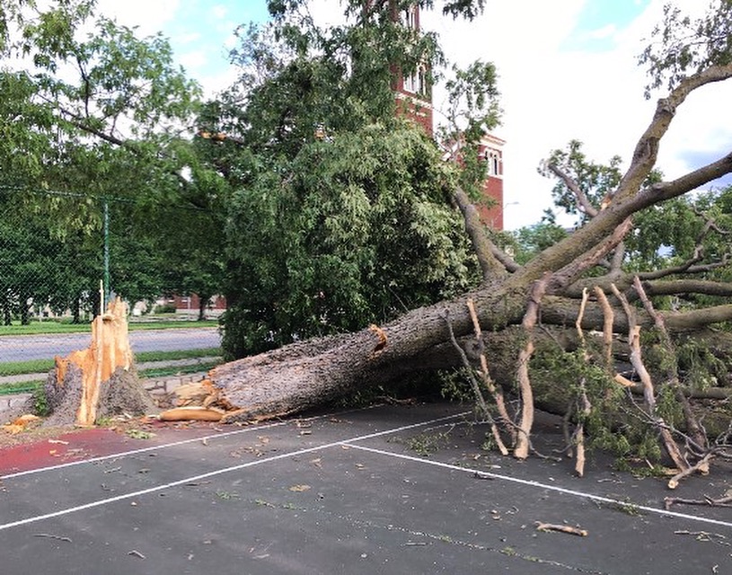 City crews help KCMO residents clean up after the storm