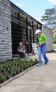 Loose Native garden