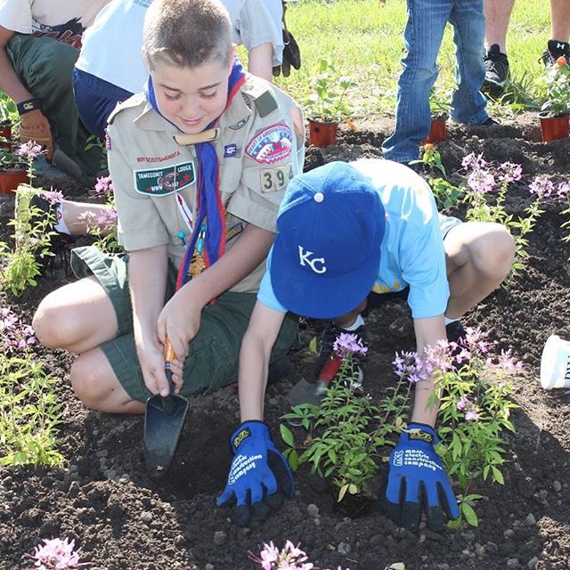 Boy Scouts and KC Parks to Plant 18,000 Flowers on Mother’s Day Weekend