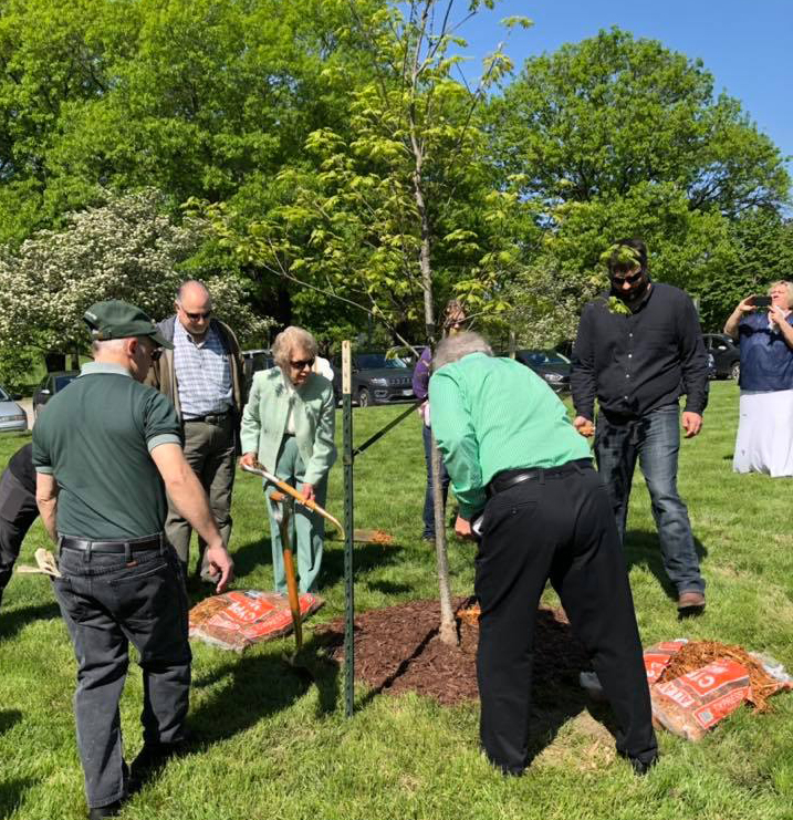 Arbor Day Tree Planting in Honor of George Eib