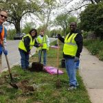 tree planting