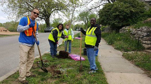 NEWS: KC Parks Receives TRIM Grant to Develop a Tree Planting Plan