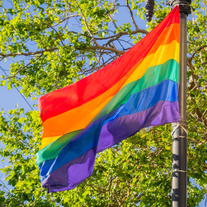 Pride in Parks: The Role of Parks in the Pride Movement and Supporting the LGBTQ+ Community