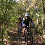 Riders cycling in the forest