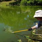 Volunteer Cleaning Pond