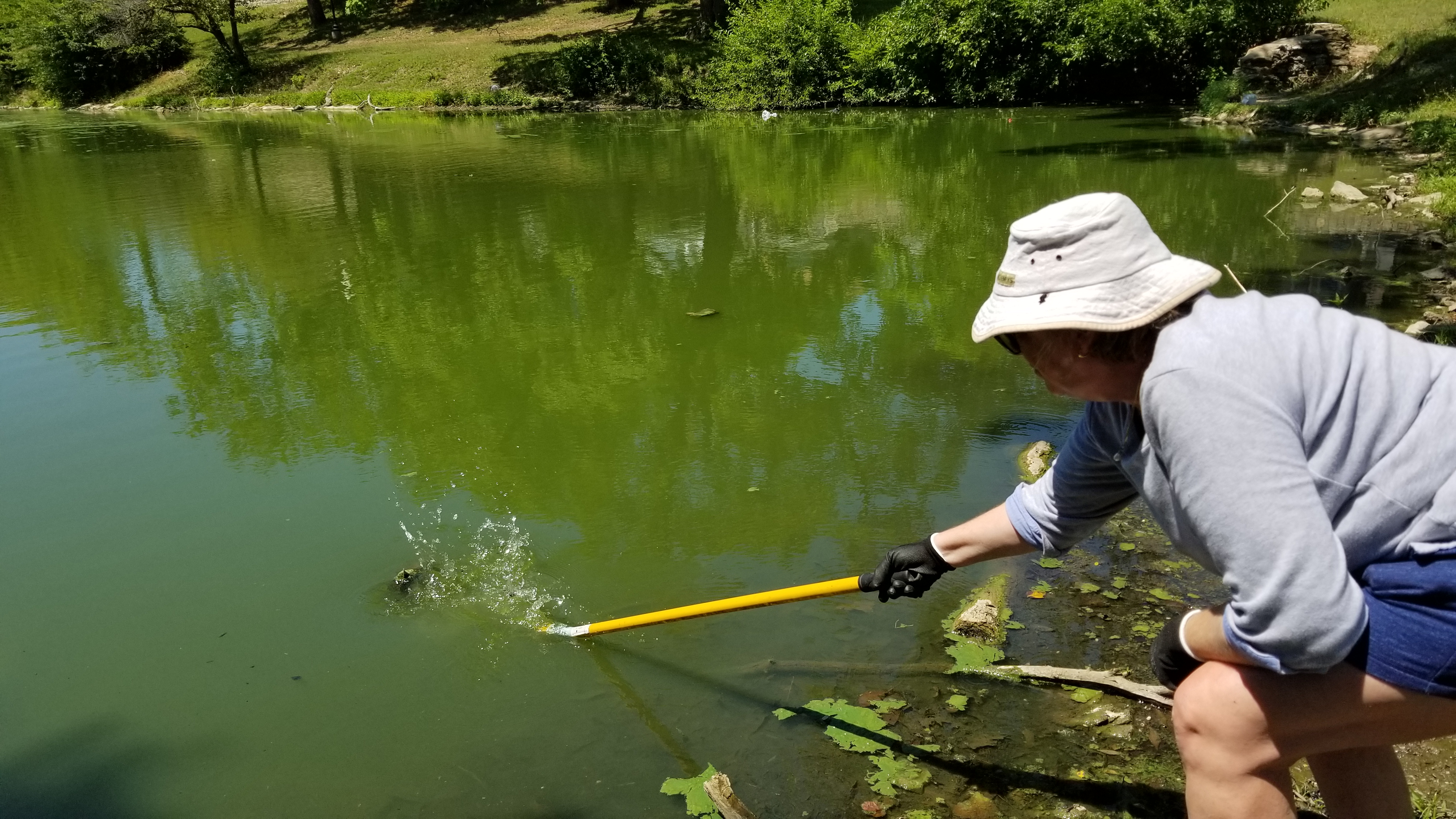 KC Parks Ambassadors Making a Difference