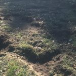 Indian Mound Damage from Vandalism KC Parks