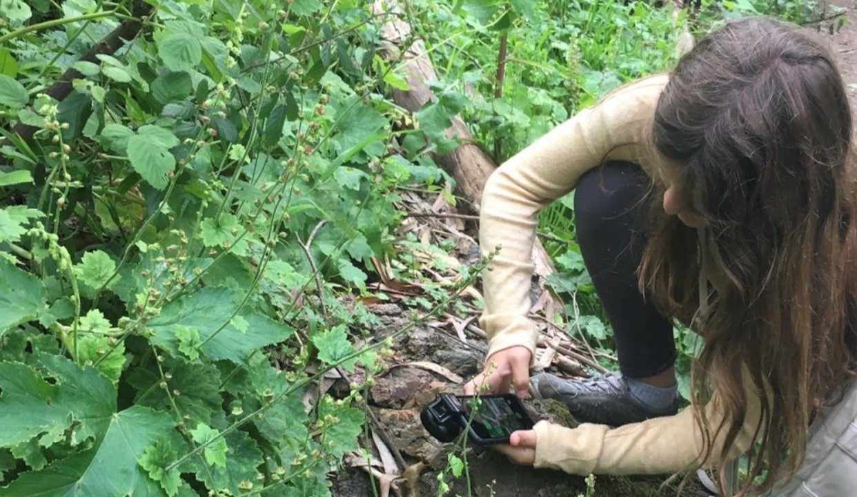 Citizen Scientists invited to participate in the Greater Kansas City Nature Challenge